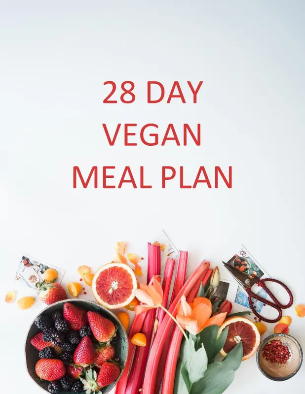 28 Day Vegan Meal Plan